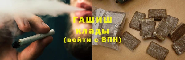 хмурый Белокуриха