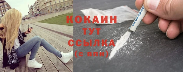 хмурый Белокуриха